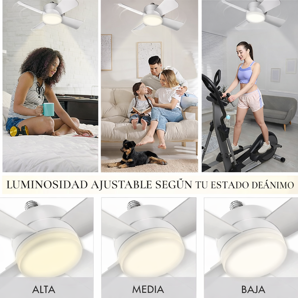 Bell+Howell ™ Ventiladores de Techo Pequeños Portátiles con Luces para Dormitorio, Cocina, Sala de Estar